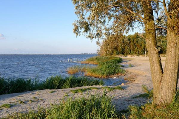 Вилла Huus Am Darss Fuhlendorf  Экстерьер фото